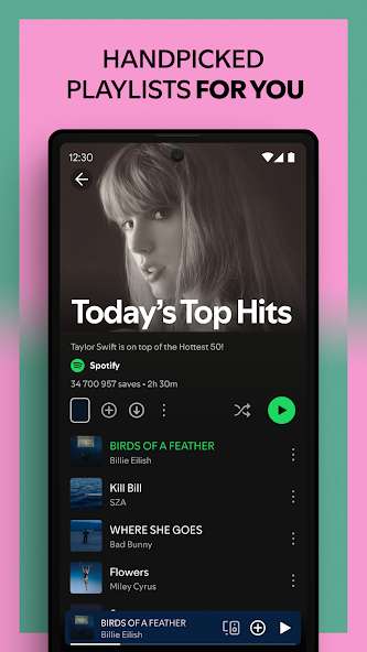 Spotify Screenshot 3